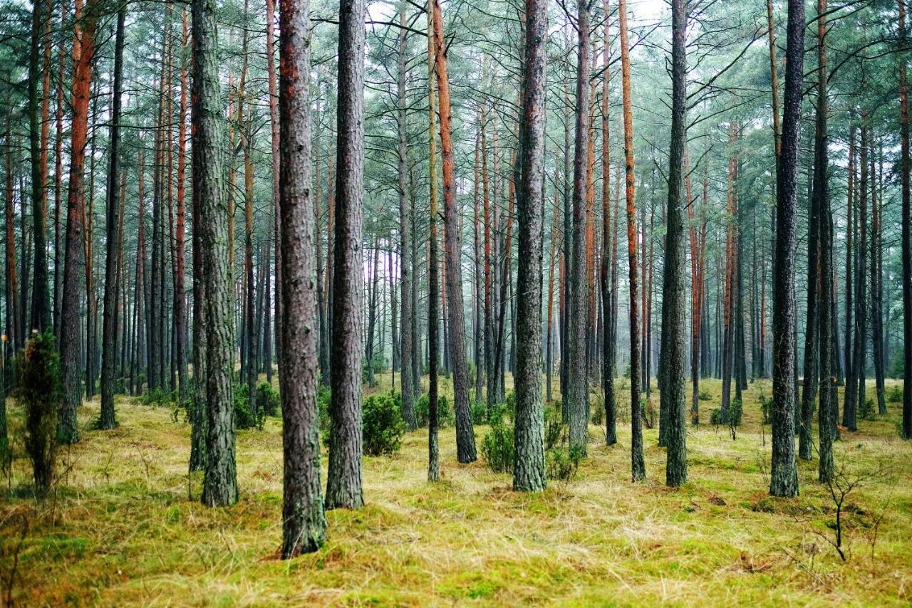 Domki Pod Jablonka Elganowo Exterior foto